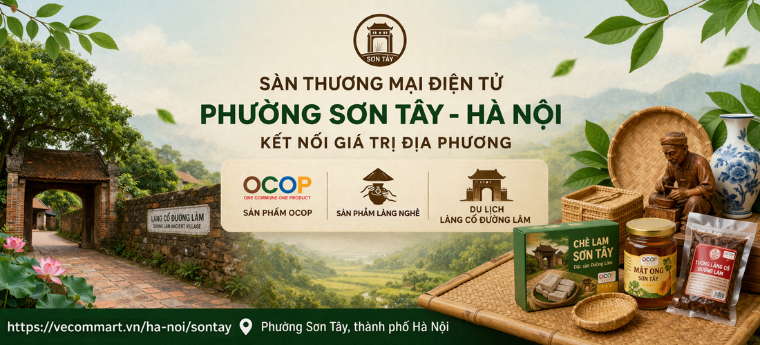 Sơn Tây 01