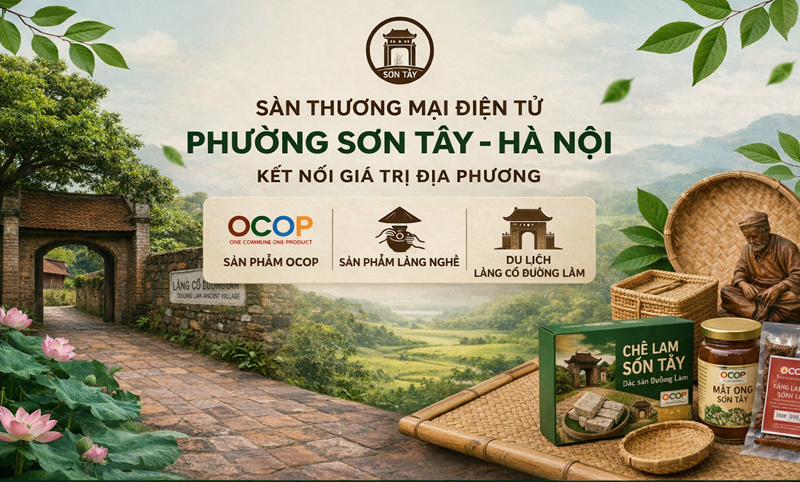 Sàn thương mại điện tử phường Sơn Tây - Hà Nội