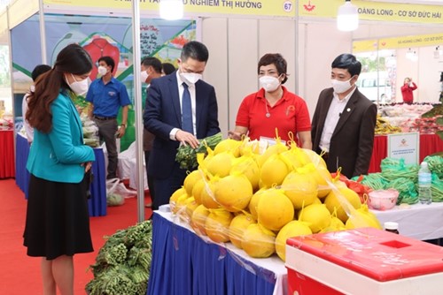 Triển lãm các sản phẩm, mẫu thiết kế hàng thủ công mỹ nghệ mới, sáng tạo và trưng bày sản phẩm làng nghề truyền thống huyện Phú Xuyên năm 2021