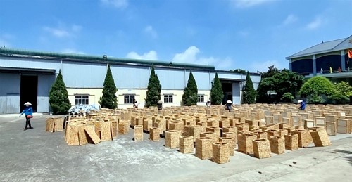 Độc đáo làng nghề cỏ tế Phú Túc gần 400 năm tuổi tại Phú Xuyên - Hà Nội