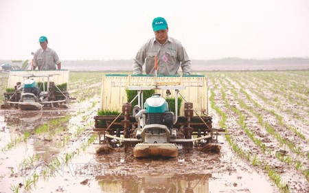  Xây dựng nông thôn mới huyện Phú Xuyên