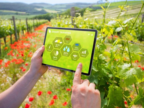 Chương trình chuyển đổi số trong xây dựng nông thôn mới