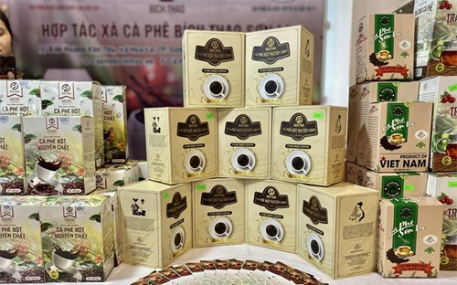 Câu chuyện về sản phẩm OCOP 5 sao: Cà phê Bích Thao - Hạt cà-phê nhỏ bé trở thành sản phẩm OCOP 5 sao quốc gia