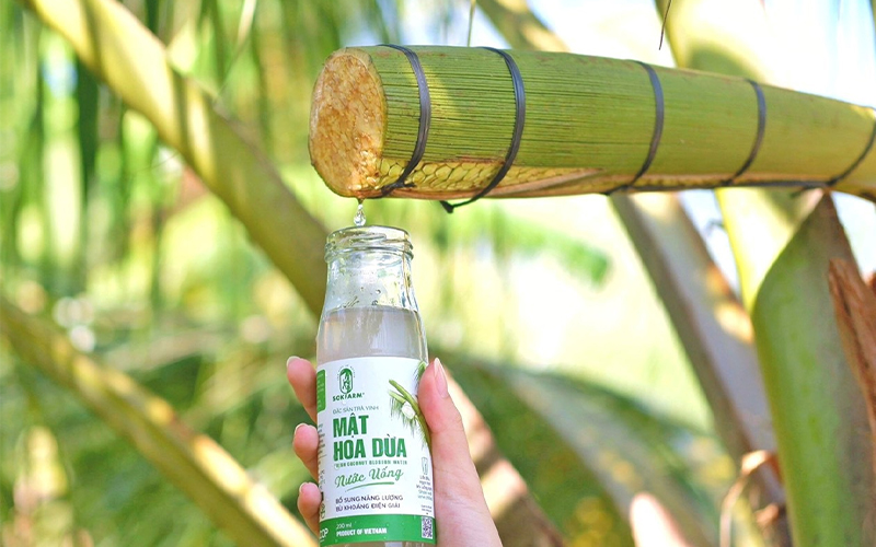 Câu chuyện về sản phẩm OCOP 5 sao: Khởi nghiệp thành công từ mật hoa dừa