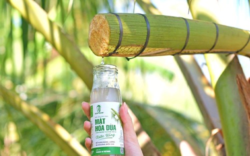 Câu chuyện về sản phẩm OCOP 5 sao: Khởi nghiệp thành công từ mật hoa dừa