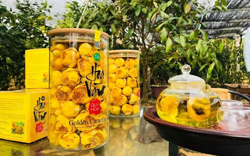 Câu chuyện về sản phẩm OCOP 5 sao: Trà hoa vàng - một danh trà quý hiếm được bảo tồn tới tận ngày nay
