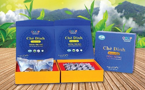 Câu chuyện về sản phẩm OCOP 5 sao: Chè Đinh Hoài Trung - ngọc xanh của vùng đất Thanh Ba