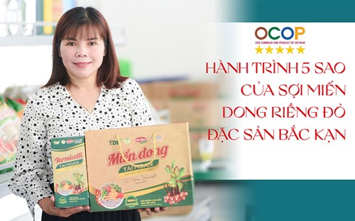 Câu chuyện về sản phẩm OCOP 5 sao: Hành trình 5 sao của sợi miến dong riềng đỏ Bắc Kạn