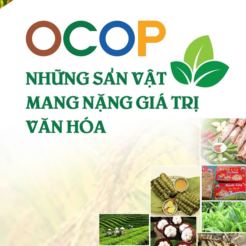Danh sách 42 sản phẩm đạt OCOP 5 sao