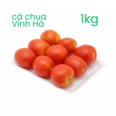 Cà chua sạch hữu cơ Vinh Hà