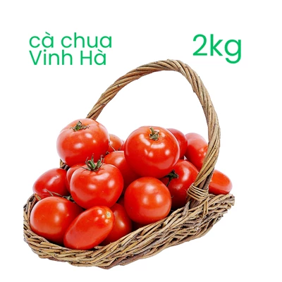 Cà chua sạch hữu cơ Vinh Hà