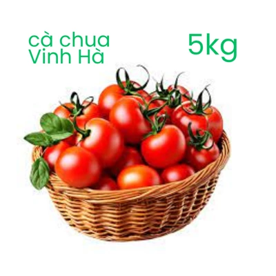 Cà chua sạch hữu cơ Vinh Hà