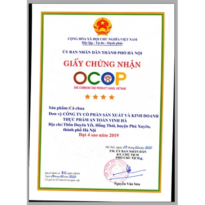 Cà chua sạch hữu cơ Vinh Hà